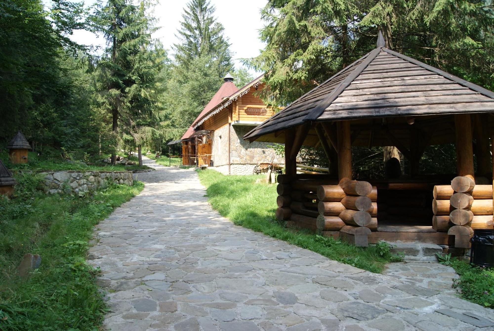 Dykyi Med Hotel Tatariv