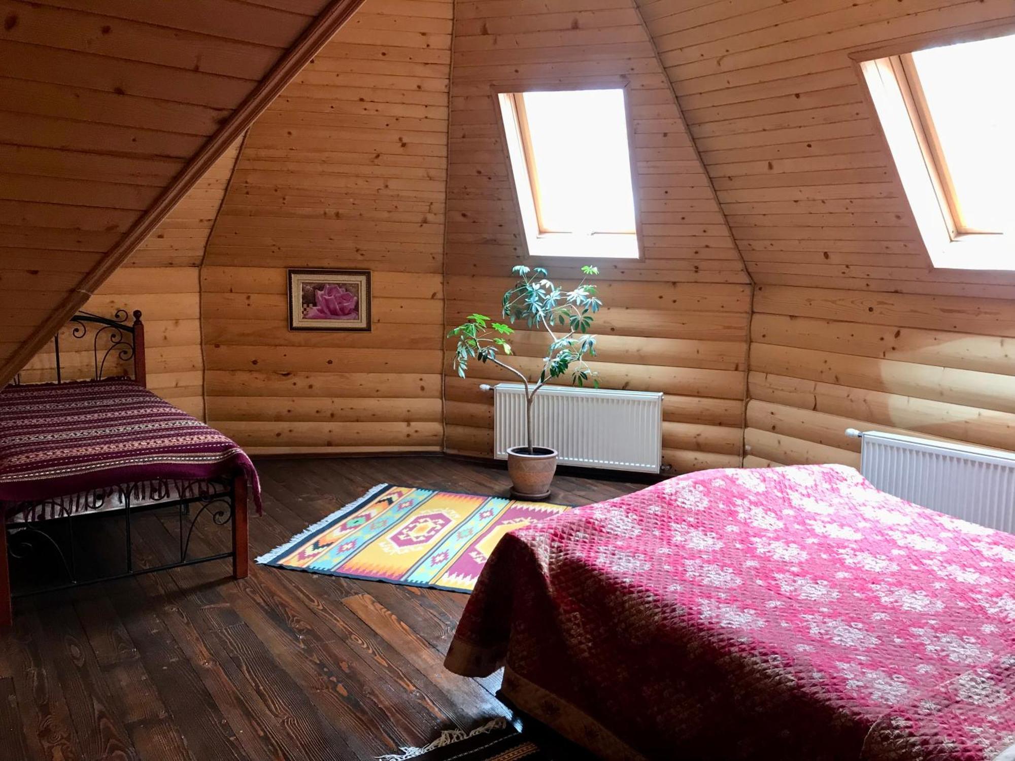 Hotel Dykyi Med Tatariv